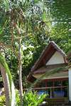 Royal Davui Island Resort 